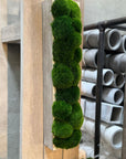 The Long Concrete Moss