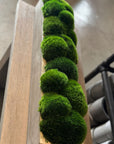 The Long Concrete Moss
