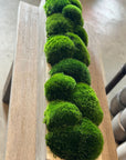 The Long Concrete Moss