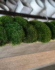 The Long Concrete Moss