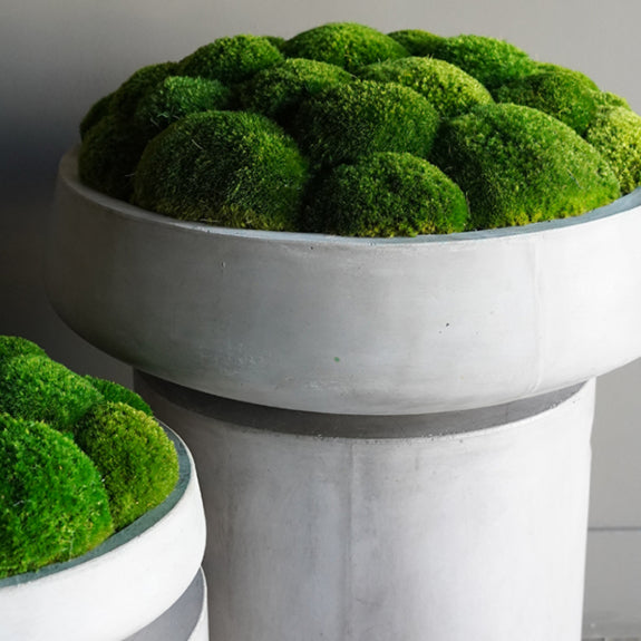 Preserved Moss Cement Low Bowl