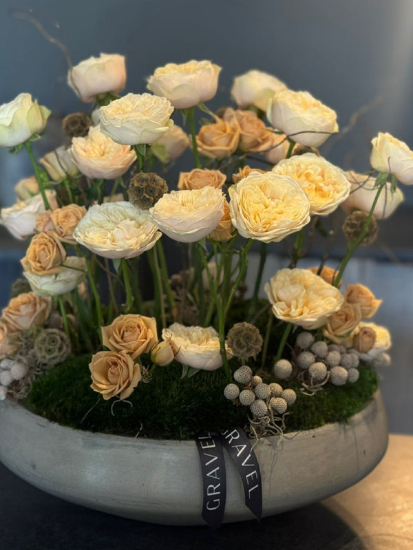 The Standing Garden Roses