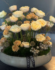 The Standing Garden Roses