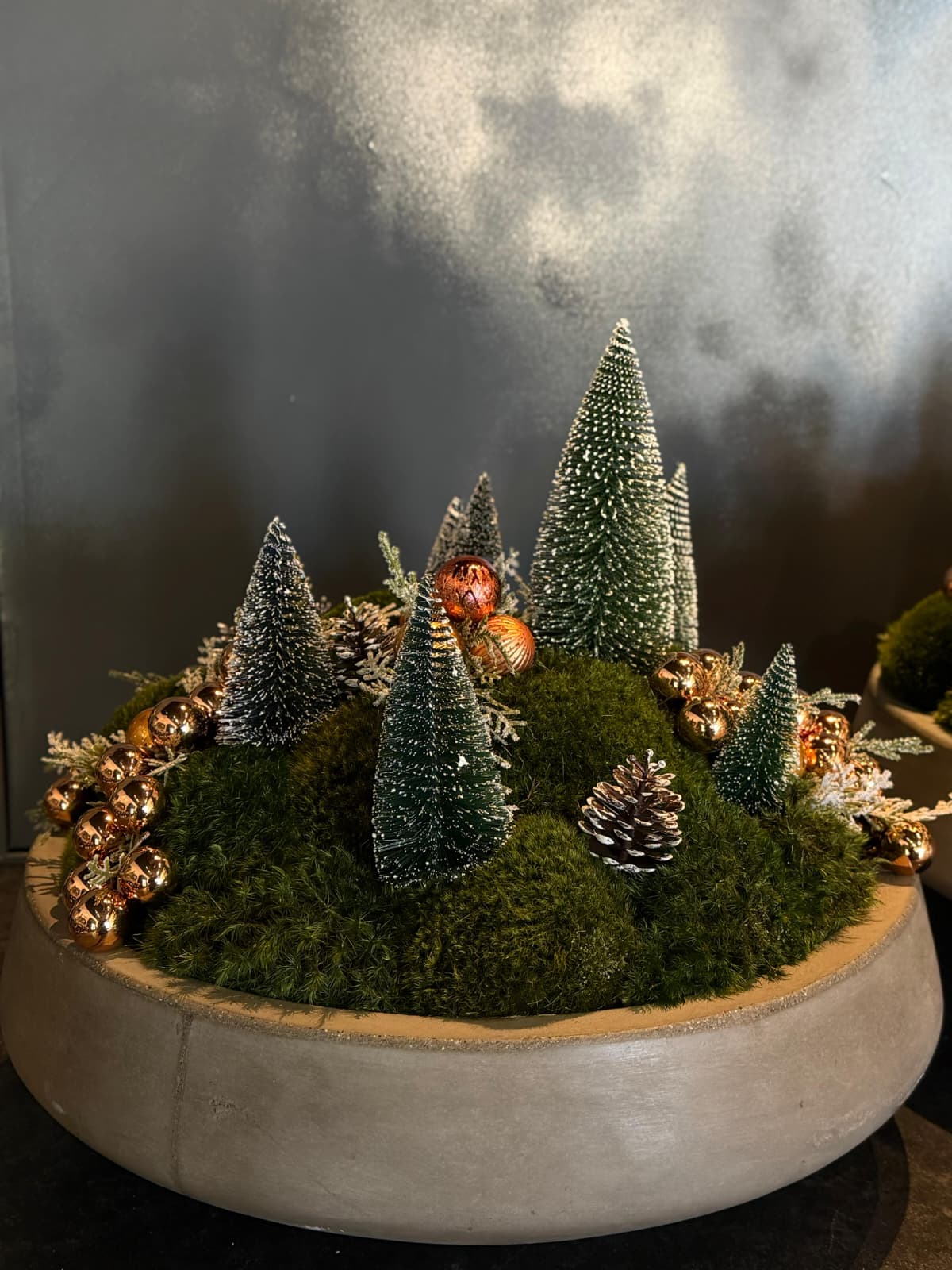 The Christmas Fairytale