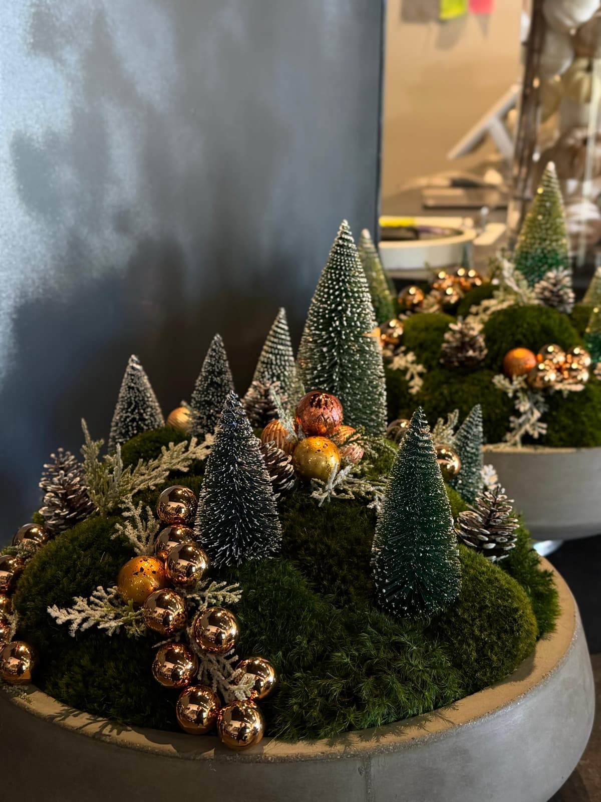 The Christmas Fairytale