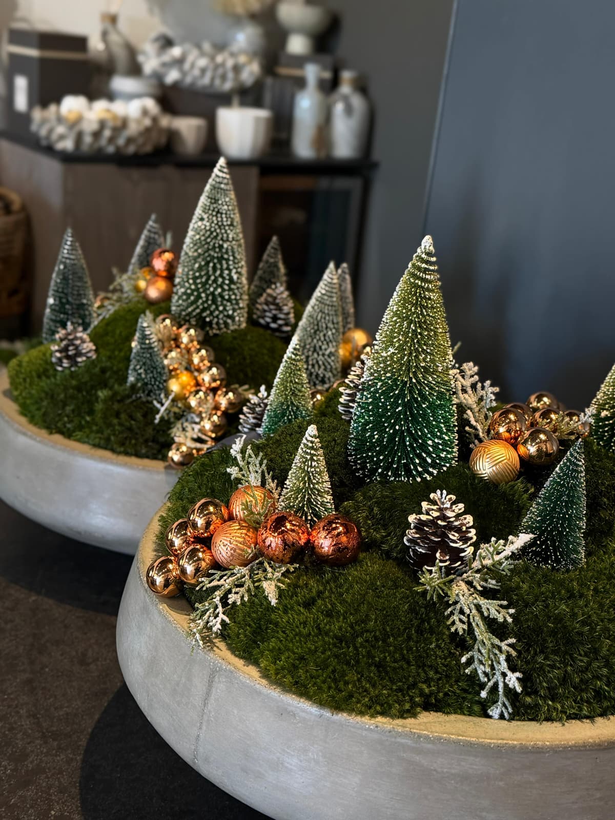 The Christmas Fairytale