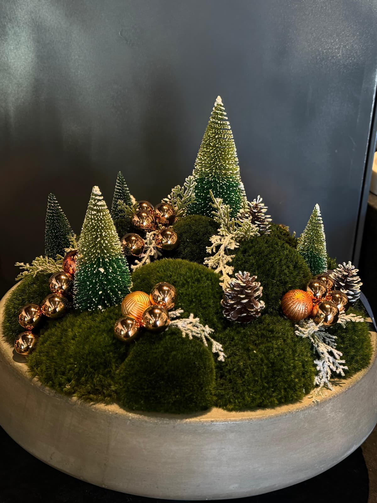 The Christmas Fairytale