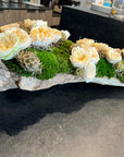 Garden Rose Wood Log