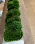 The Long Concrete Moss