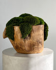 Wooden Bowl with Moss