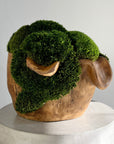 Wooden Bowl with Moss