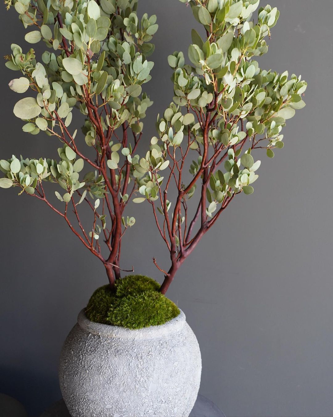  Restaurant and Bar Design- Gravel Florals and Curiosities- Gravel Glendale Florist Potted Plants