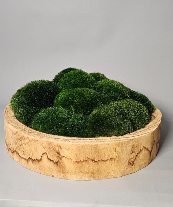 Refresh Moss & Customize Moss Arrangements