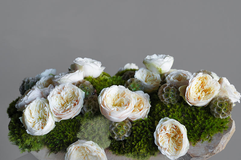 Garden Rose Wood Log