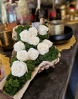 Moss Arrangement in Wood Container With Preserved White Roses (Classic Size) 