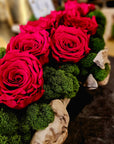 Moss Arrangement in Wood Container With Preserved Red Roses (Classic Size) 