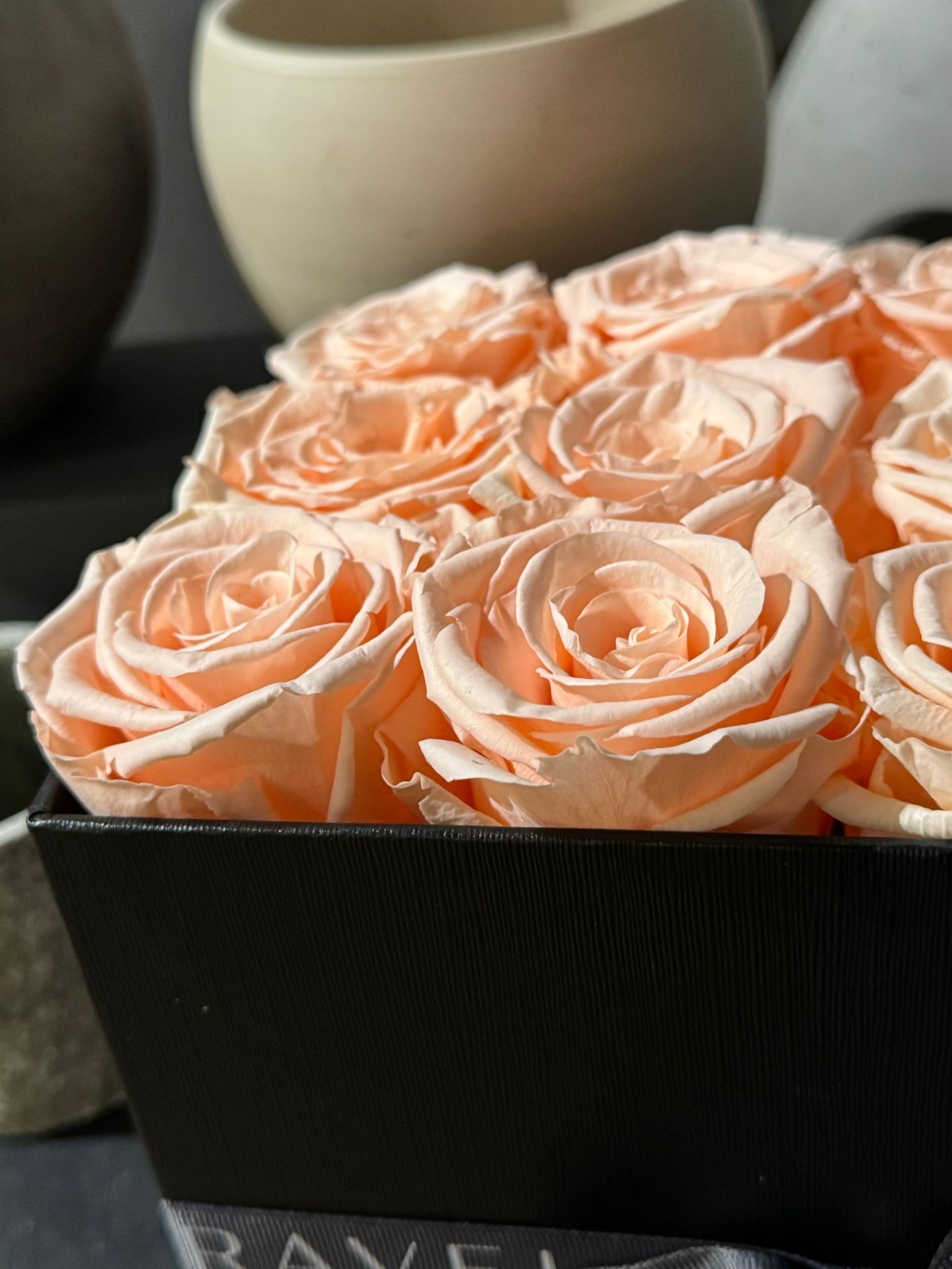 9 Preserved Roses (Red, White, Peach) in Box (Black, White, Deep Pink) - Nationwide Shipping