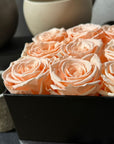 9 Preserved Roses (Red, White, Peach) in Box (Black, White, Deep Pink) - Nationwide Shipping