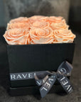 9 Preserved Roses (Red, White, Peach) in Box (Black, White, Deep Pink) - Nationwide Shipping