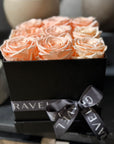 9 Preserved Roses (Red, White, Peach) in Box (Black, White, Deep Pink) - Nationwide Shipping