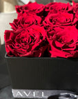 9 Preserved Roses (Red, White, Peach) in Box (Black, White, Deep Pink) - Nationwide Shipping