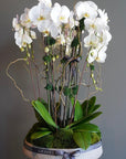 Orchids and Moss Arrangement