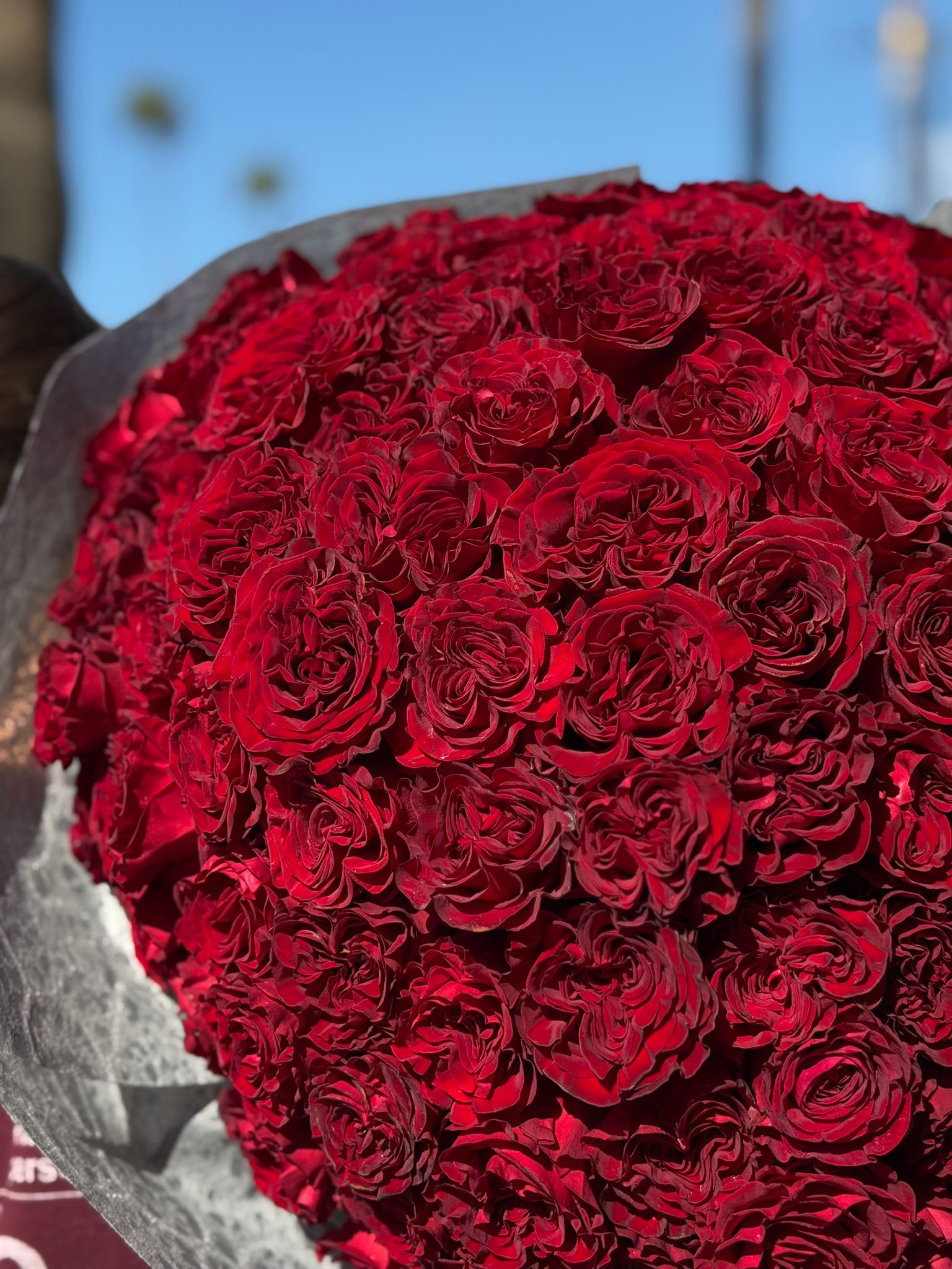 Red Roses Valentine's Day Bouquet - 100 Red Hearts Roses Hand Bouquet