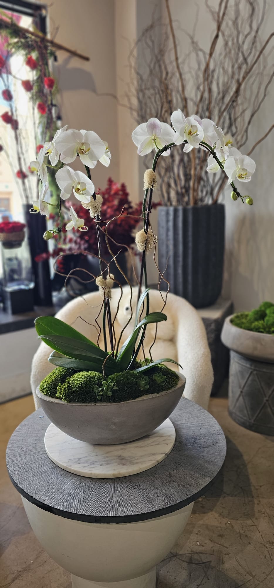 White Orchids in Grey Cement Boat 