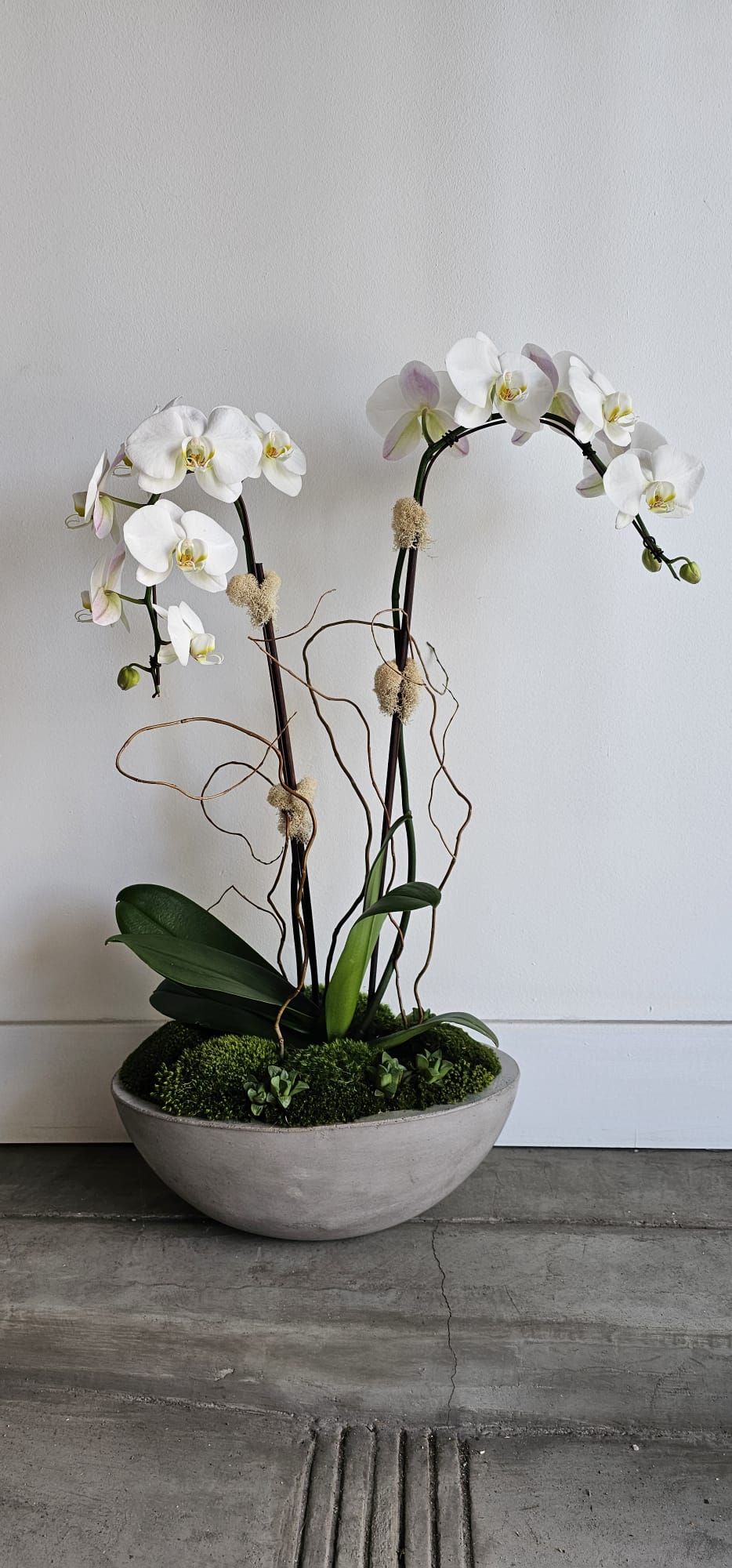 White Orchids in Grey Cement Boat 