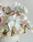 Blush Roses and White Orchids
