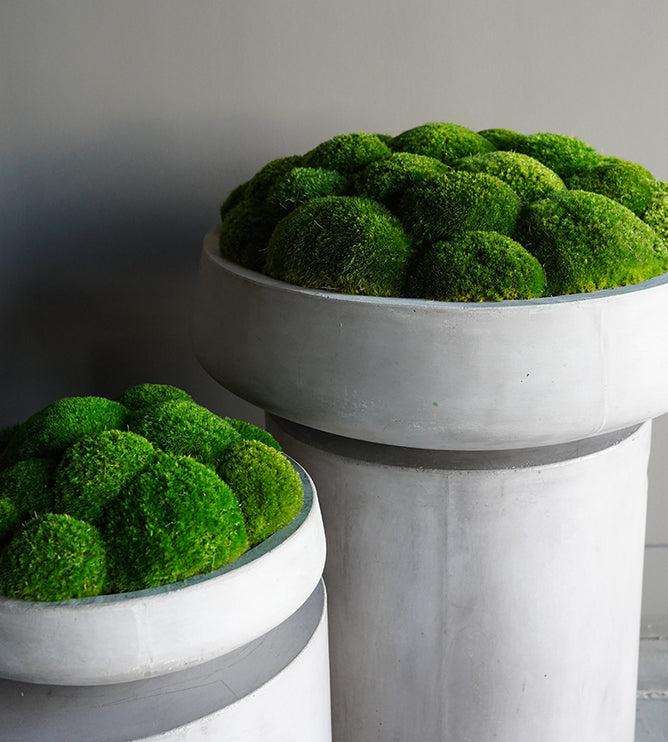 Gravel Florals and Curiosities Purveyor of Timeless Elegance GRAVEL